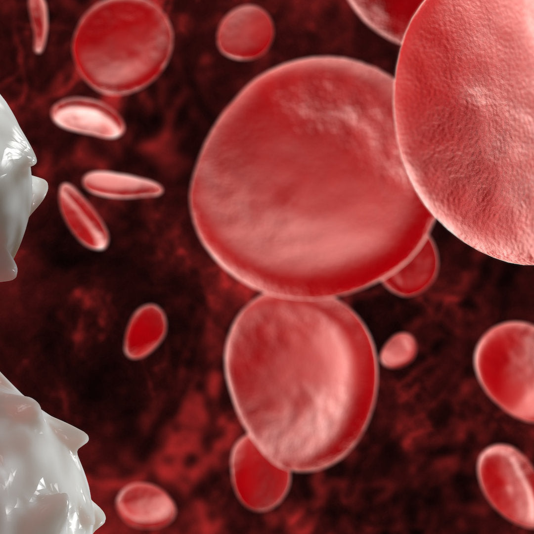 Labor - Mini Check Up