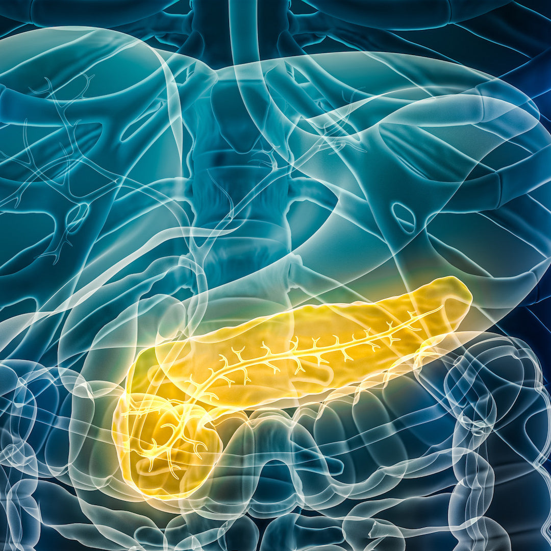 Ultraschall: Bauchspeicheldrüse