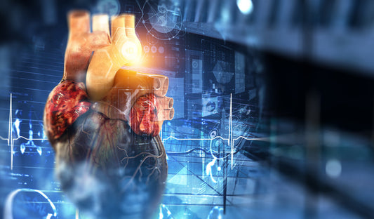 Einfaches Code Modell in Python zur Vorhersage des Blutdruckes