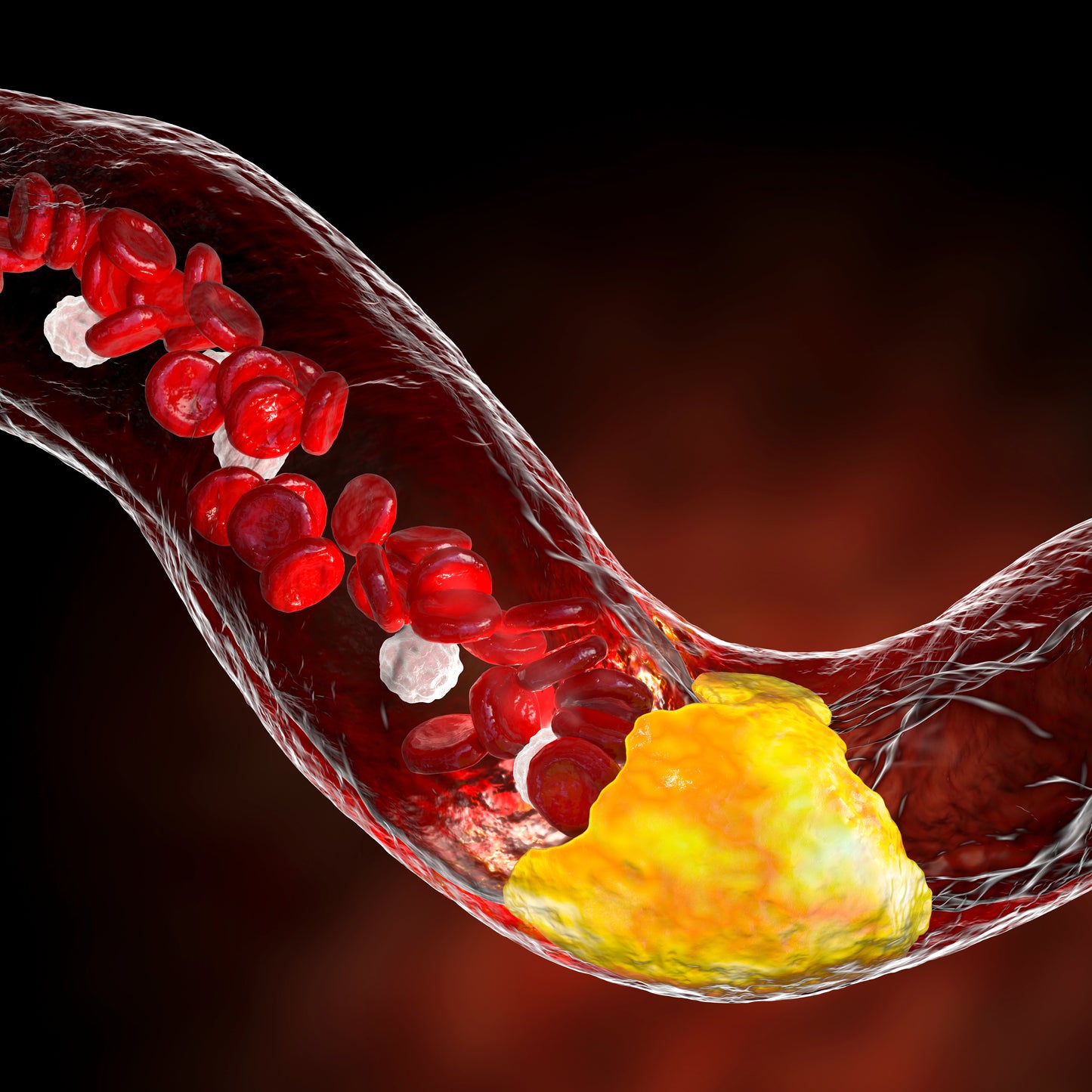 Labor - Stoffwechsel
