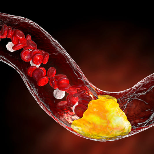 Labor - Stoffwechsel