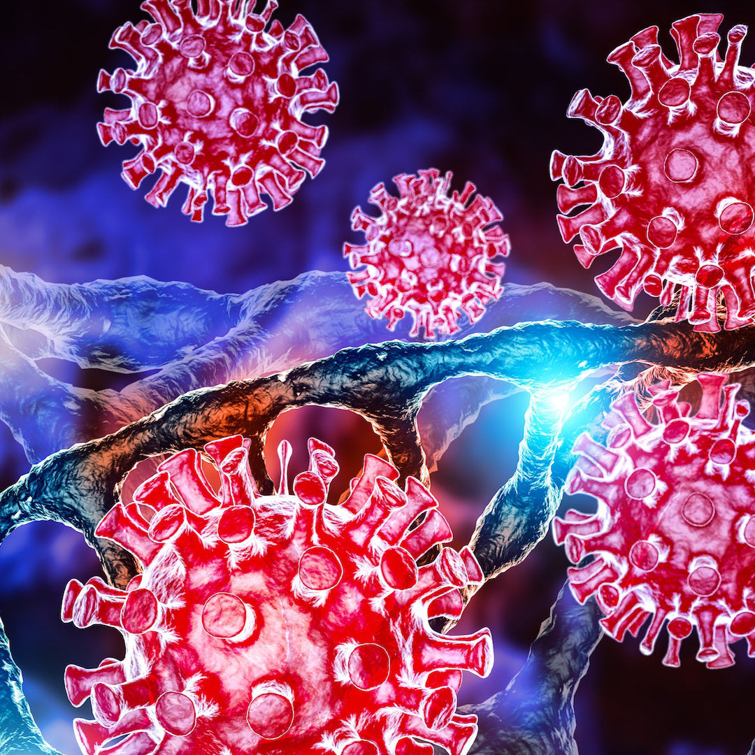 Labor - Abwehr & Immunsystem