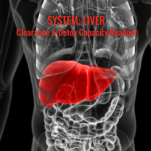 LABOR - SYSTEM: LIVER