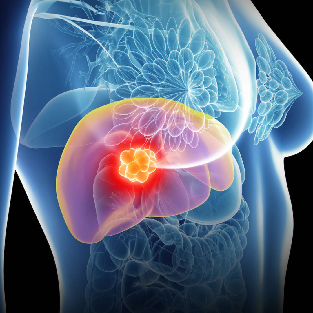 Ultraschall: Bauchorgane