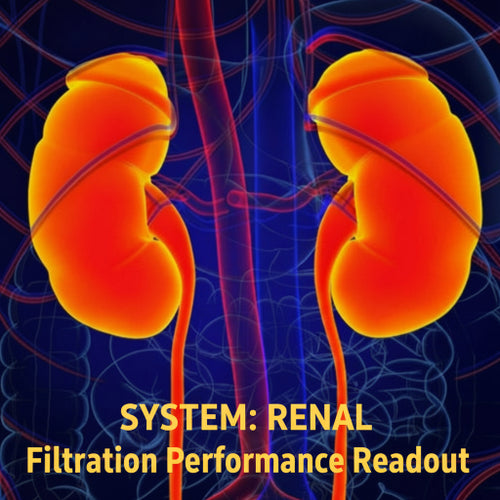 LABOR - SYSTEM: RENAL