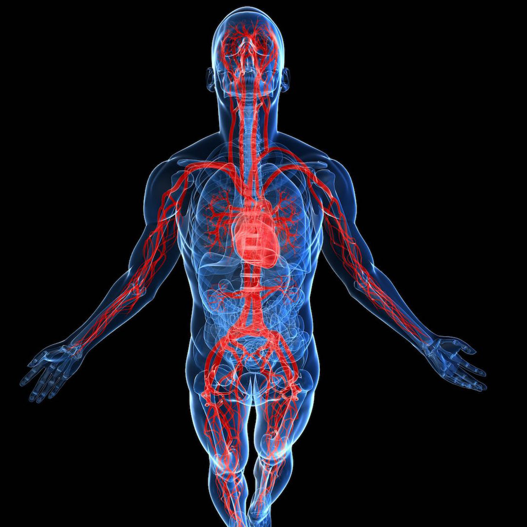 Präventionsprogramm