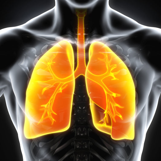 Spirometrie - Lungenfunktion