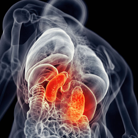 Ultraschall: Komplett Check